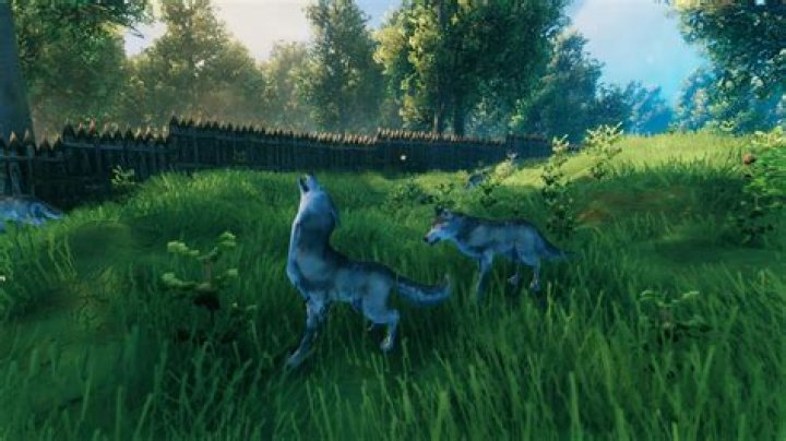 How to tame a wolf in Valheim