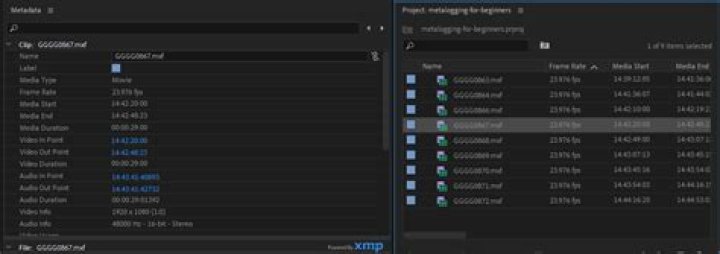 How to Use Metadata in Premiere Pro