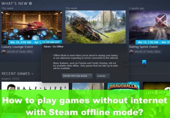 How to Use Steam Offline Mode to Play Games Without an Internet Connection