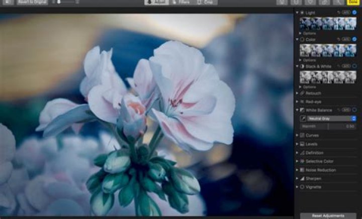 How to Use the Built-in Image Editing Tools in Photos on Mac