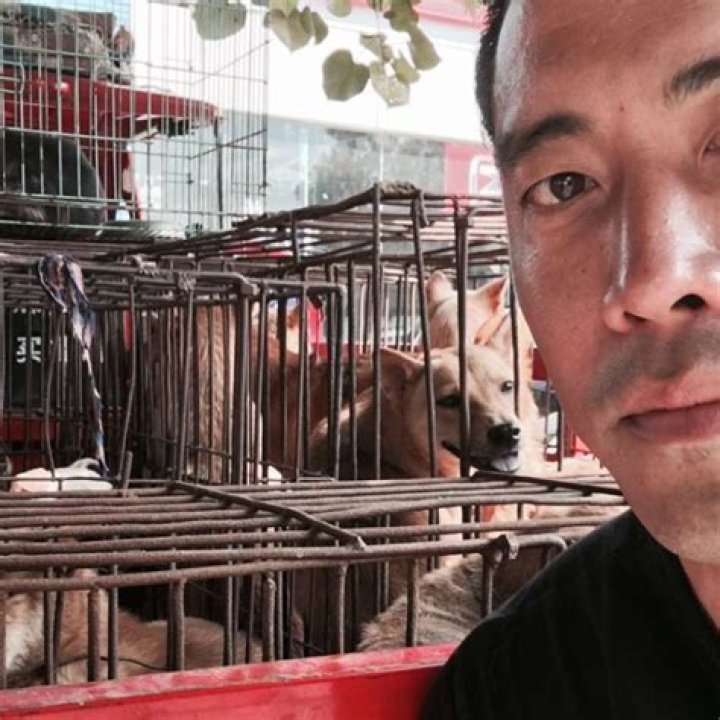 How Yulin dog rescuer Marc Ching went from hero to hounded