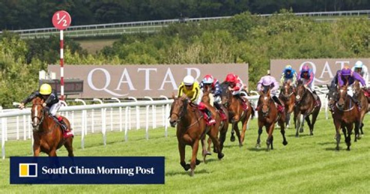 Huge betting moves pay off for astute punters | HK Racing