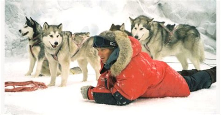 	IN EIGHT BELOW, ABANDONED SLED DOGS STEAL SHOW	