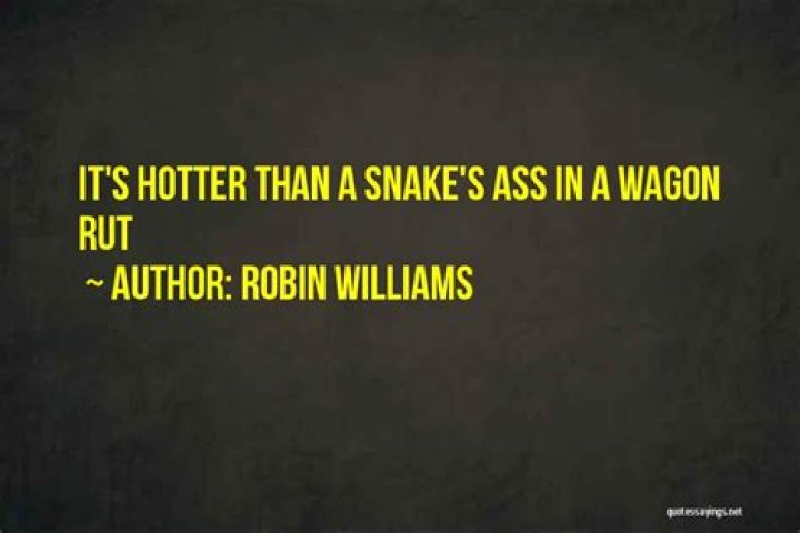 Inappropriate Hotter Than Sayings: Exploring The Edger Side Of Expressions