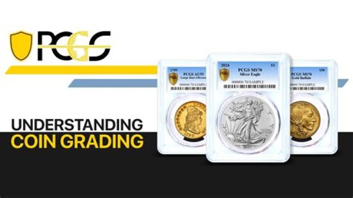 	INVESTORS FIND VALUE IN COIN GRADING SERVICE	