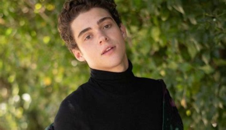 Is Joshua Bassett Gay? Exploring His Sexuality And Public Perception