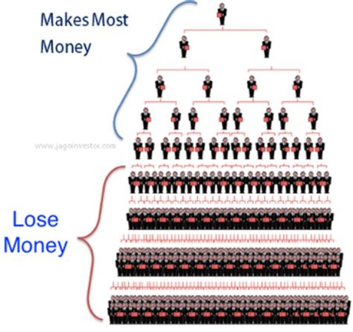 Is Plexus a Pyramid Scheme?