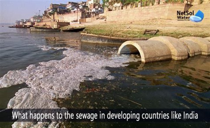 Italy's coasts polluted by untreated sewage: environmentalist report - Xinhua