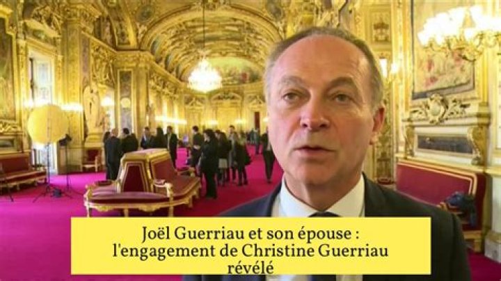 Joel Guerriau Epouse