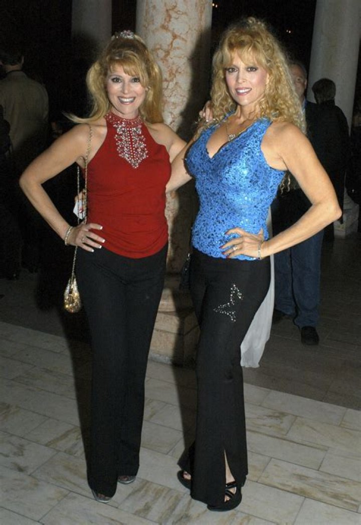 Judy Landers Net Worth 2024