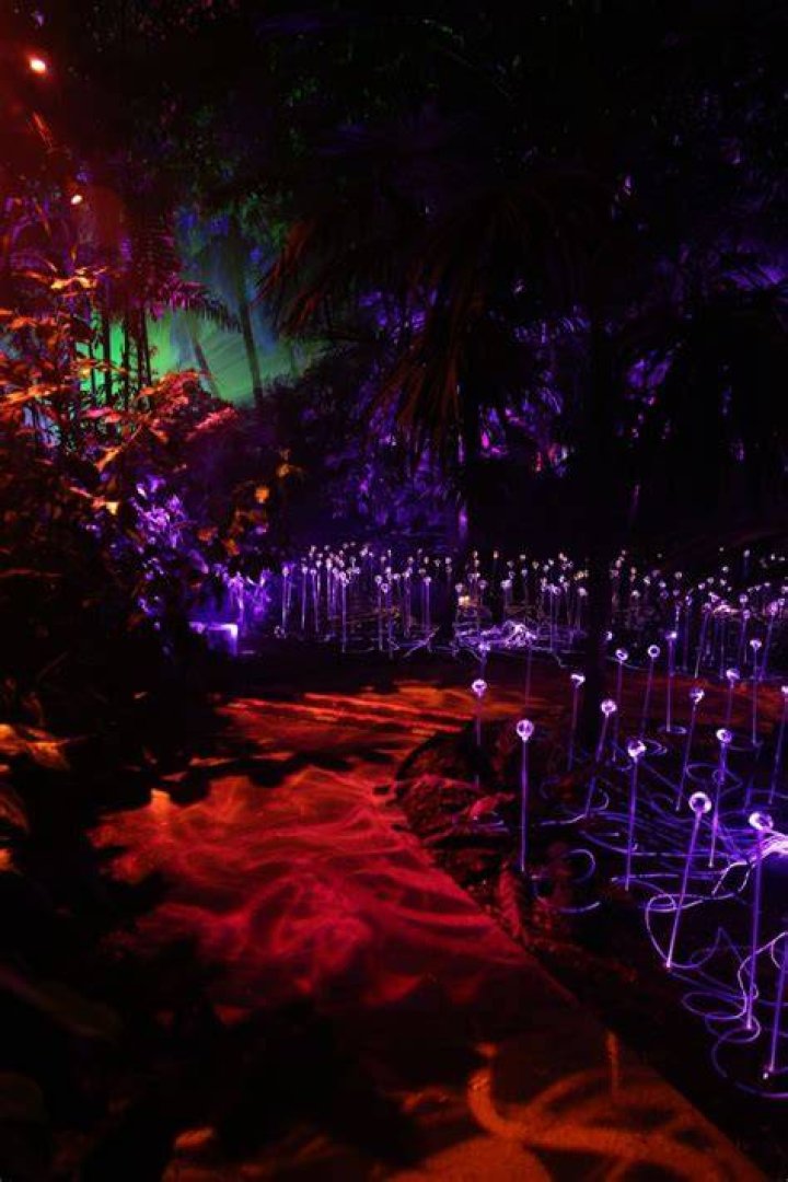 	Kid-friendly New Year’s Eve events in Broward, Palm Beach and Miami	
