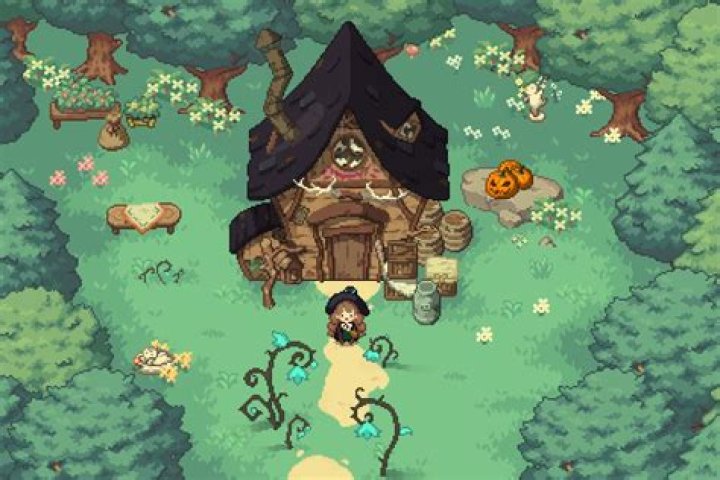 Little Witch in the Woods beginner’s guide, tips, and tricks