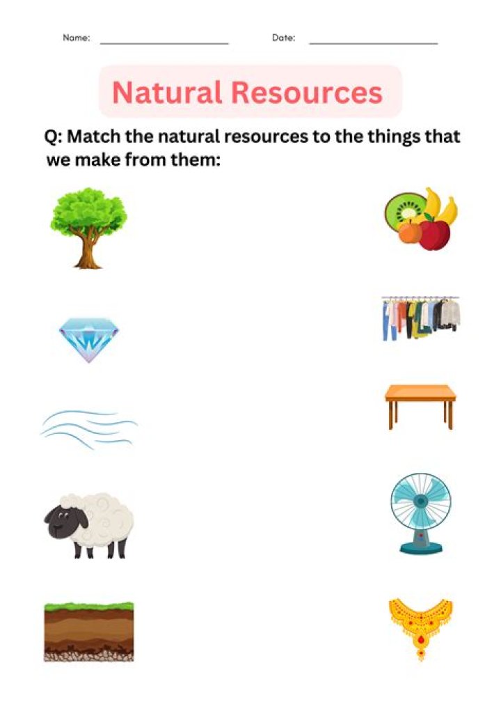 Local Resources & Activities
