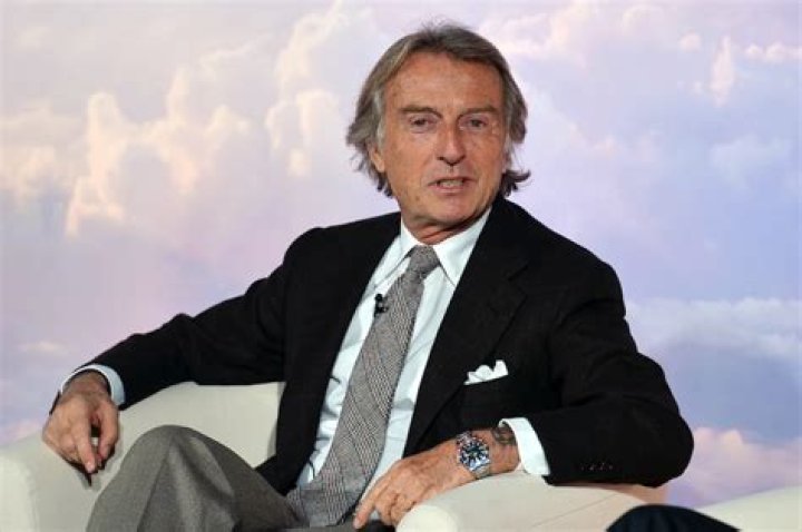 Luca Cordero di Montezemolo Vermögen