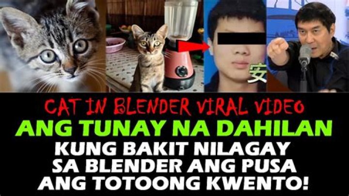 Man threatens to put cat in blender, leaving netizens enraged
