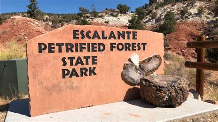 Many Visitors Learn To Regret 'Curse' Of Escalante Petrified Forest State Park