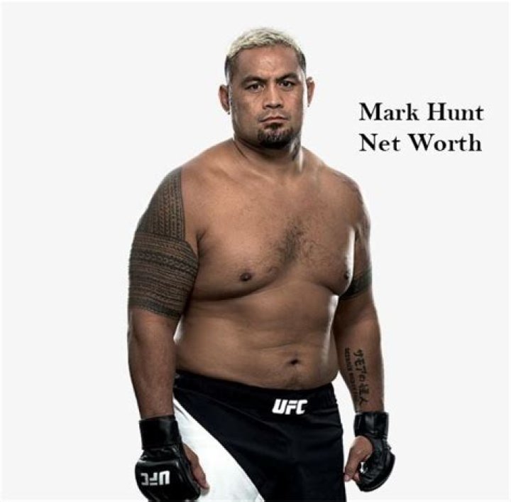 Mark Hunt Net Worth 2024
