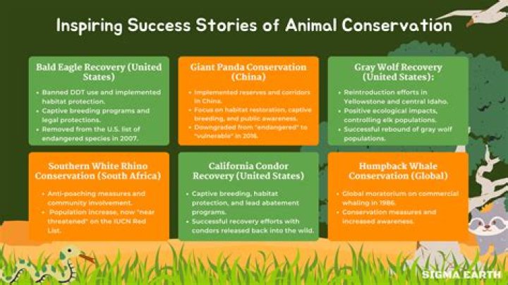 Meet Gabby Marshall: Unveiling The Heart Of Wildlife Conservation