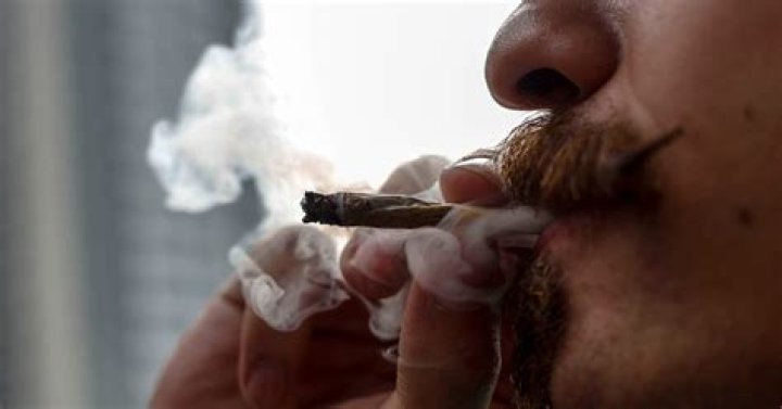 Men who regularly smoke pot may have increased risk of testicular cancer, study suggests