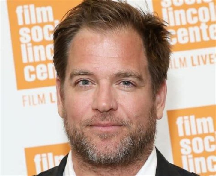 Michael Weatherly Net Worth 2024