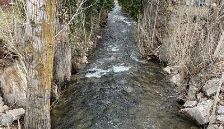 Missing woman found in Box Elder Creek, dies at hospital. Police ask for information