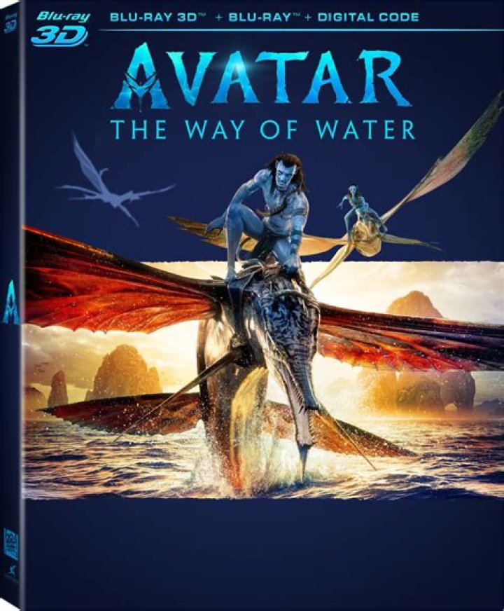 MKVMoviePoint Download: A Complete Guide To Accessing Movies Online