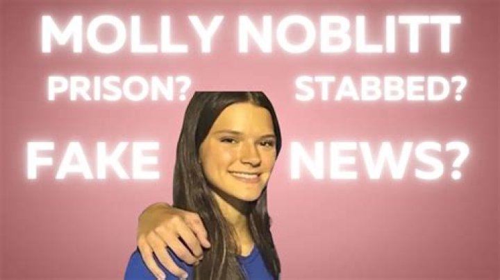 Molly Noblitt's Deleted Posts: Unveiling The Controversies And Insights