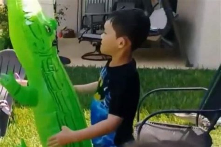 	Mom recorded son playing with inflatable alligator not knowing real gator lurked nearby	