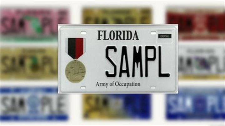 	More specialty license plates could be coming to Florida	