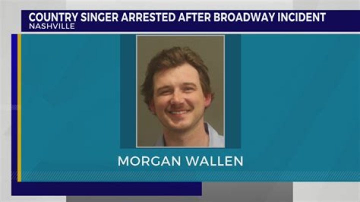 Morgan Wallen Mug Photo: A Deep Dive Into The Country Star's Iconic Image