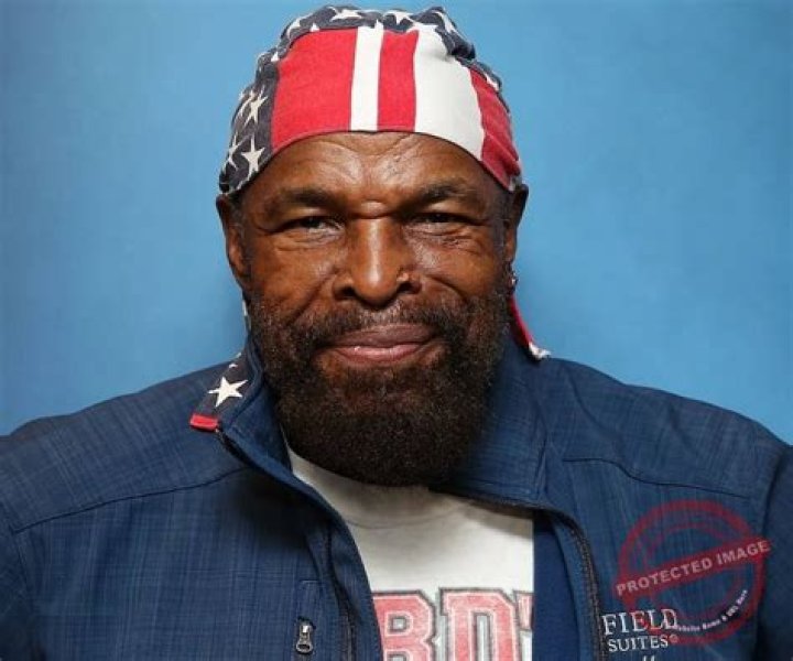 Mr. T Vermögen
