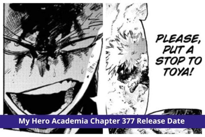 My Hero Academia chapter 377 release date, where to read, what to expect, and more