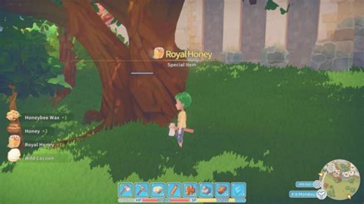 My Time at Portia: How to Get Wild Cocoon & What It’s Used For