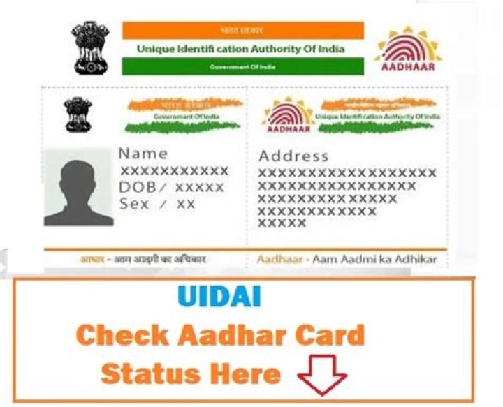 nayapadkar.in login safely, analysis & comments