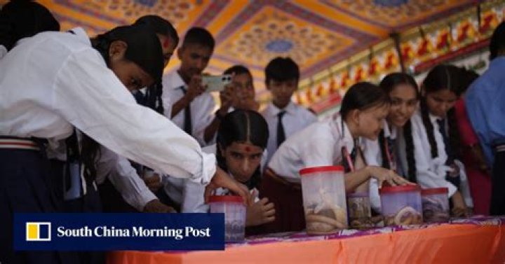 ‘Neglected disease’: Nepal readies for more snakebite cases as summer approaches