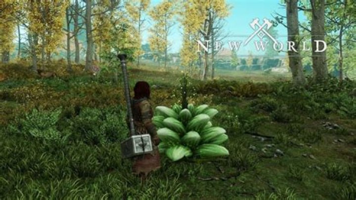 New World petal cap locations: Where to find, quests, more