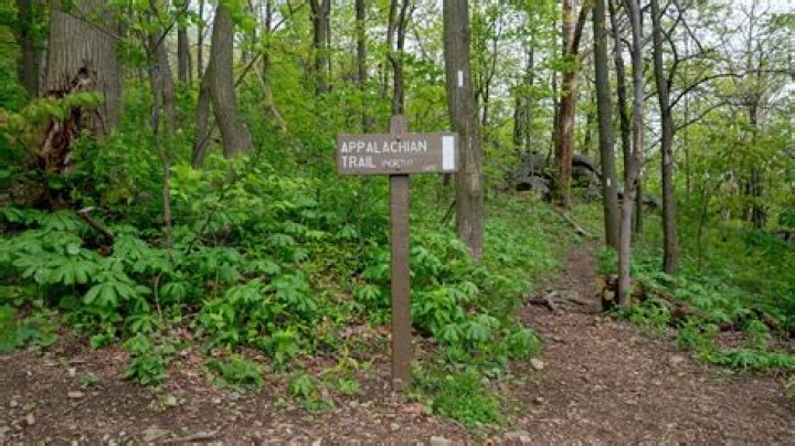 New York college student missing for weeks ‘grateful’ after being found near Appalachian Trail