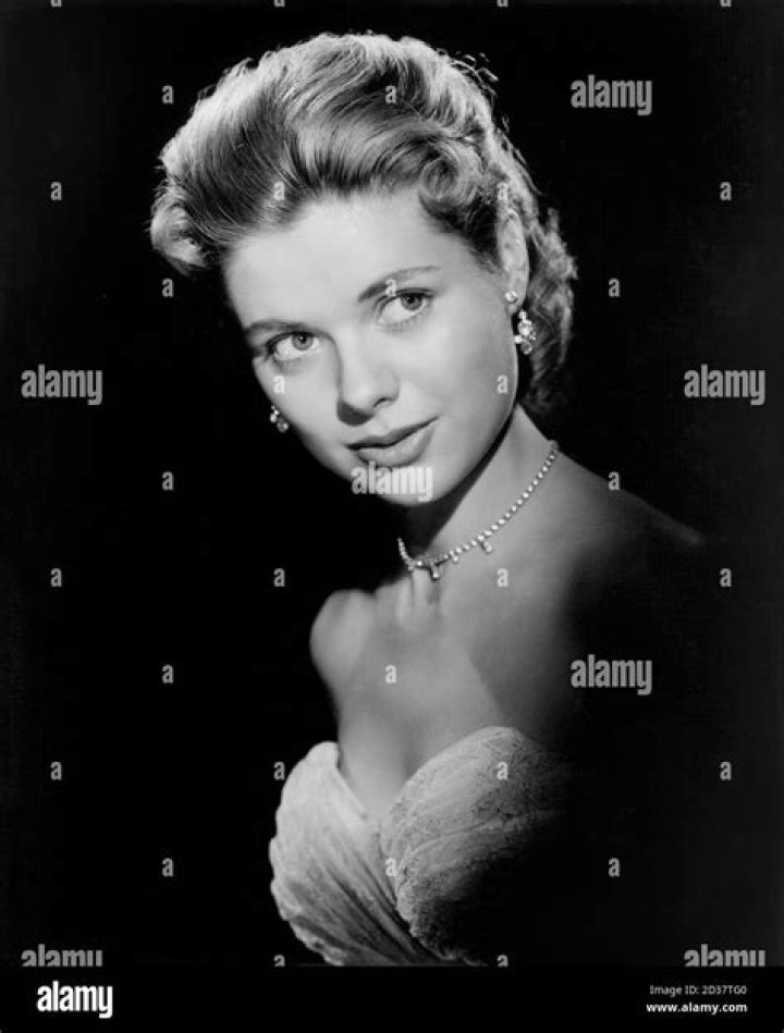 Nina Shipman: The Rising Star Of Hollywood