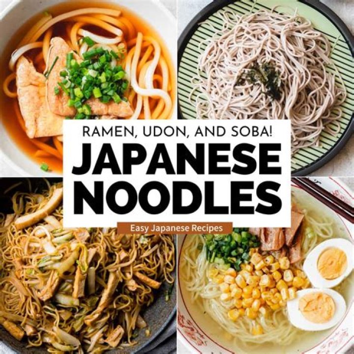 Noodle Maga: The Ultimate Guide To The Popular Japanese Noodle Dish