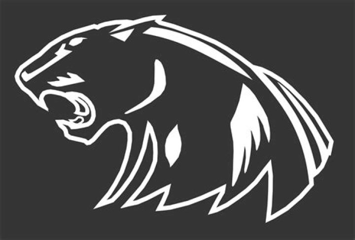 Northwood High School - Nappanee