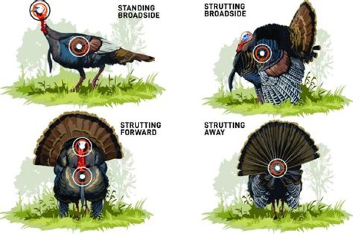 Nursing home residents go ‘turkey’ hunting with staff