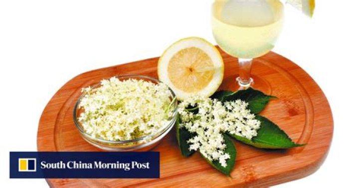 Old-fashioned elderflower gets a modern makeover