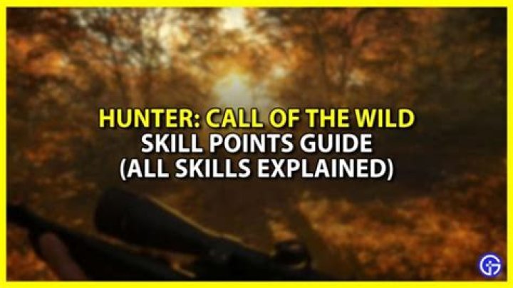 Outward: How to Get Skill Points