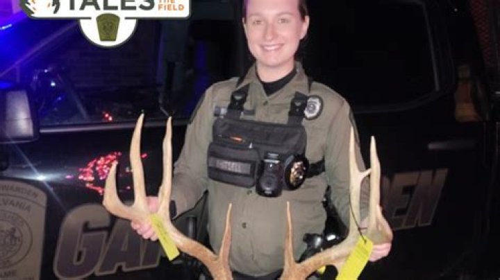 Pair fined for illegal killing of 'trophy' white-tailed deer