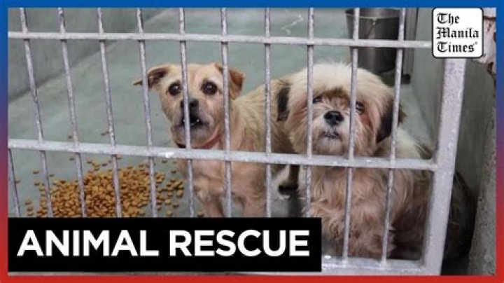 	Pets evacuated from animal hospital after restaurant fire	
