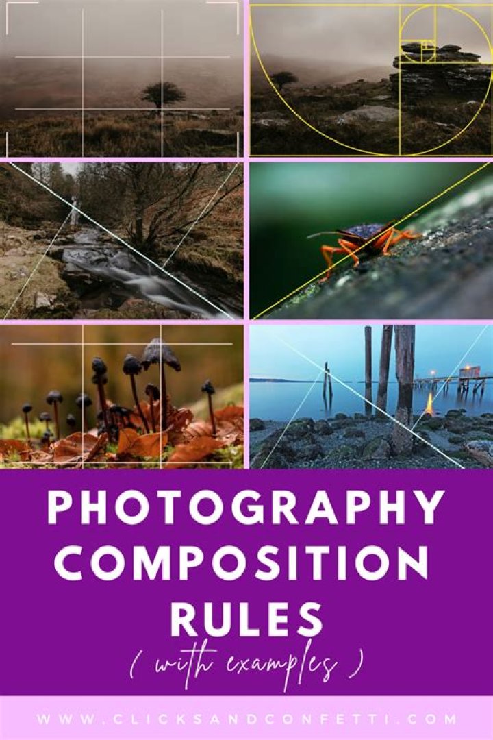 Photography Composition Mastery: Tips To Elevate Your Photos