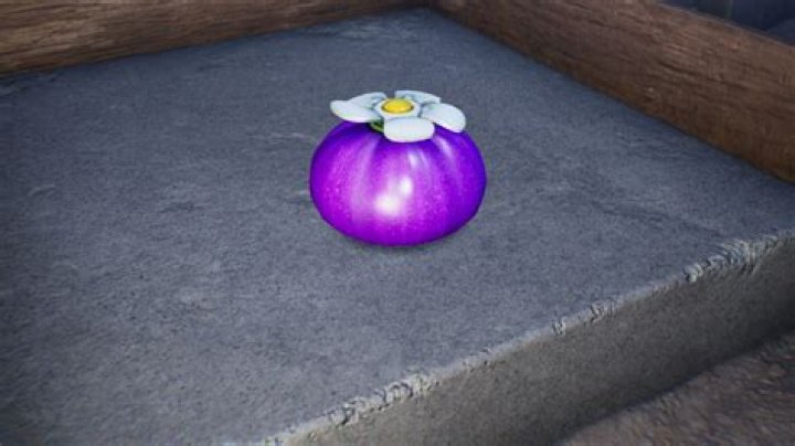 Pikmin 4 Purple Onion and White Onion location guide