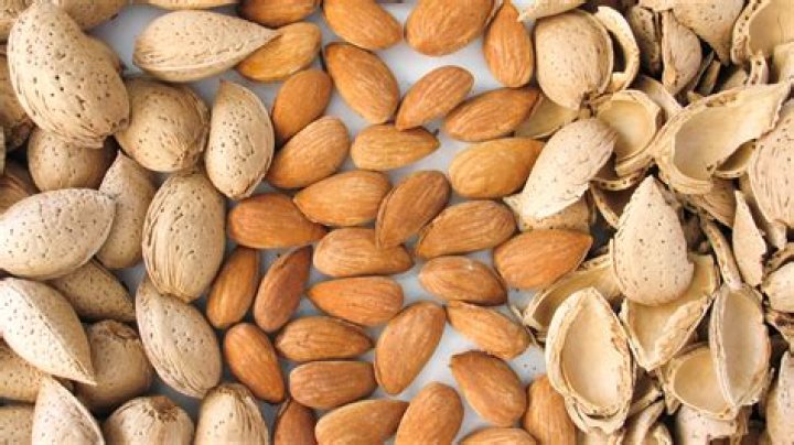 	Poisoning from almonds is unlikely	