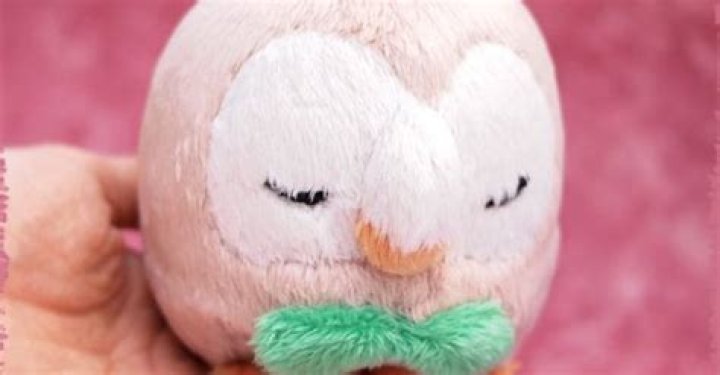 Pokémon Fans, Behold This Rowlet Plush