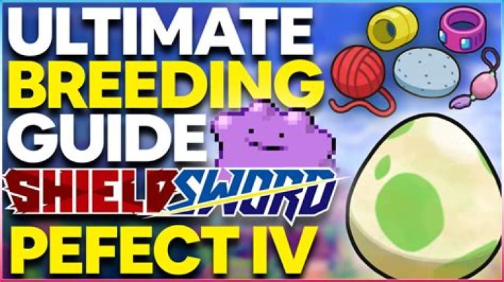 Pokémon Sword and Shield guide: Breeding and catching high IV Pokémon